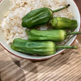 小ぶりピーマンのごま油炒めと玄米ご飯！